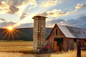 New US Dietary Guidelines Can Impact Farmers Thumbnail