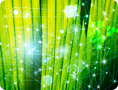 closeup of grass with digital illustration overlay