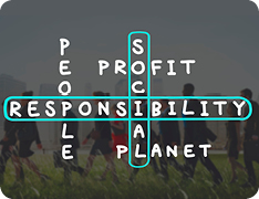 word search with 'social' and 'responsibility' circled