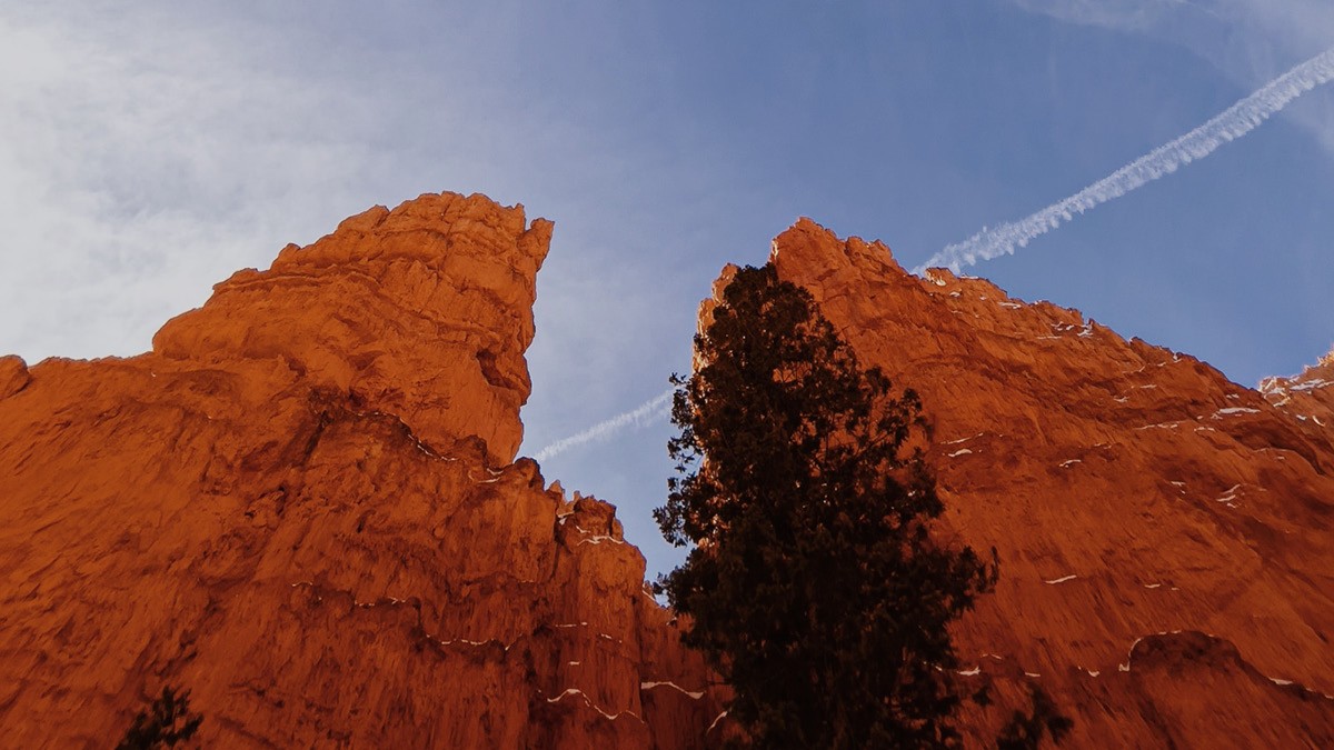 OBBBA Tax Implications:  Health Care Roundtable