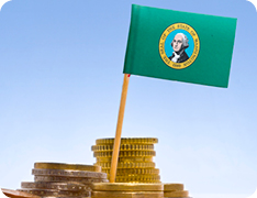 Washington state flag