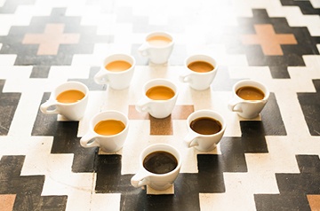 lattes arranged in gradient pattern