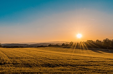 sunset over open field