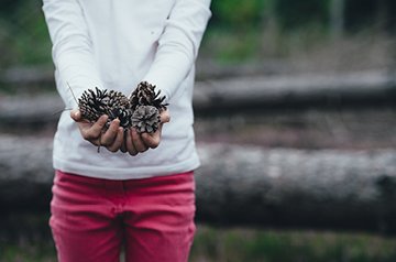 holding pinecones