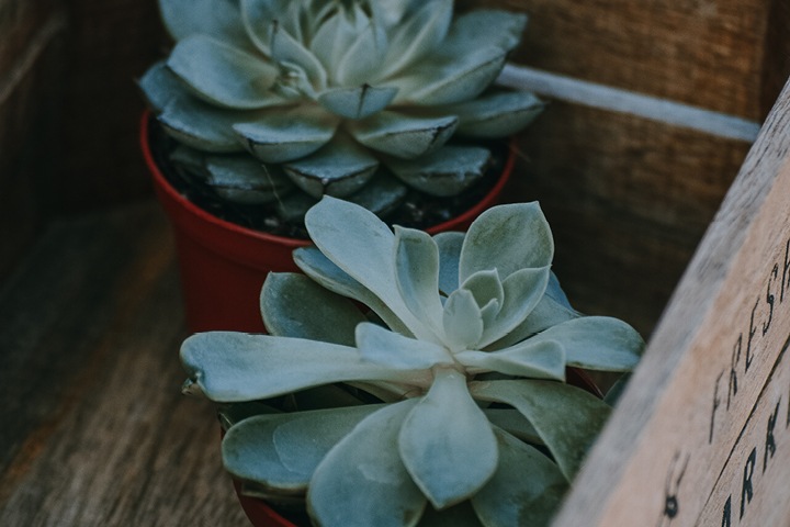 2020 State of the Union: The Resilient Health Care System Presented by The Advisory Board