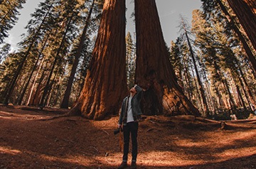Man looking up in a sun-dappled forest clearing.