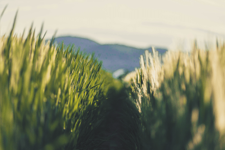 State of the Industry: What Lies Ahead for Health Care in 2020 