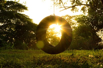 tire swing