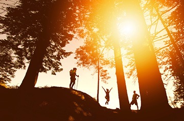 Hikers in a forest