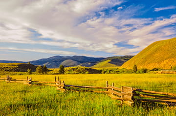 Scenic landscape with wooden fence in a green meadow