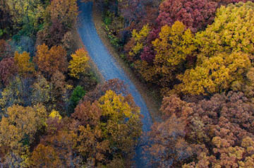 A winding road from above