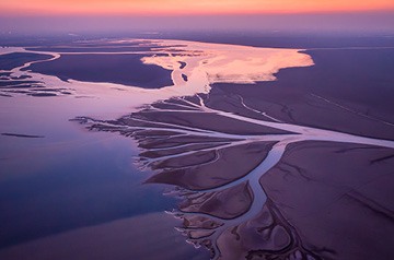 Aerial shot of wetlands