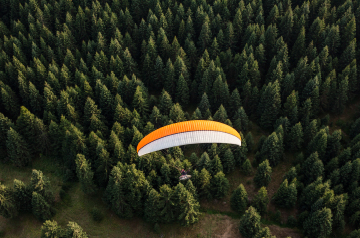 paragliding over forest