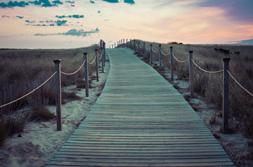 wooden walking path on beach