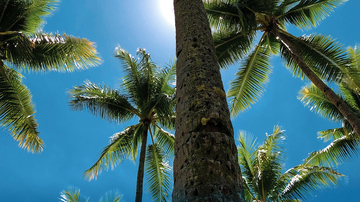 Cybersecurity and SOX Compliance for AI Companies