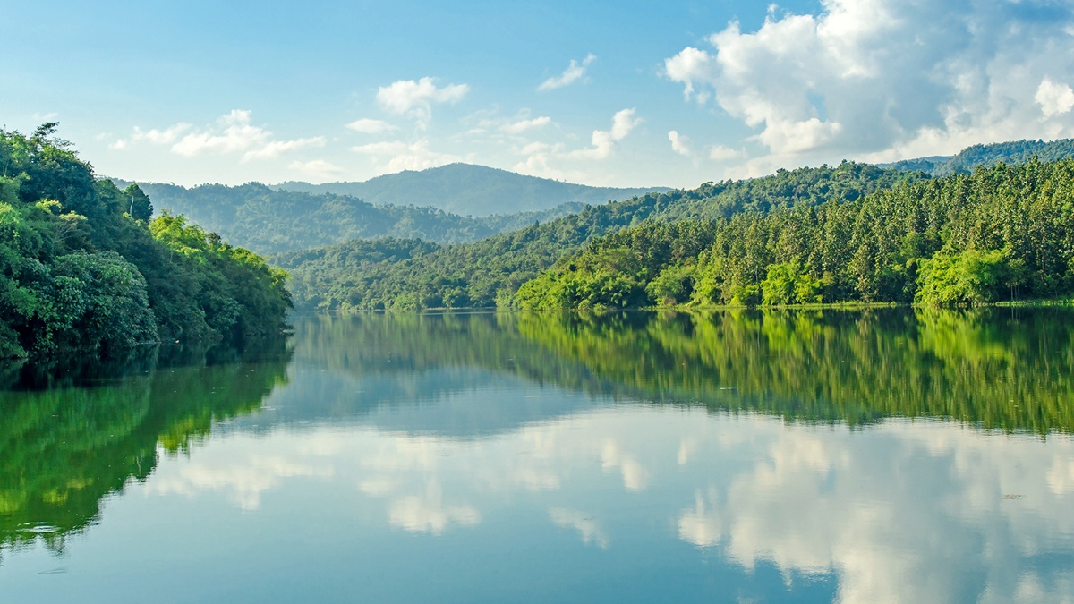 lake view on sunny day