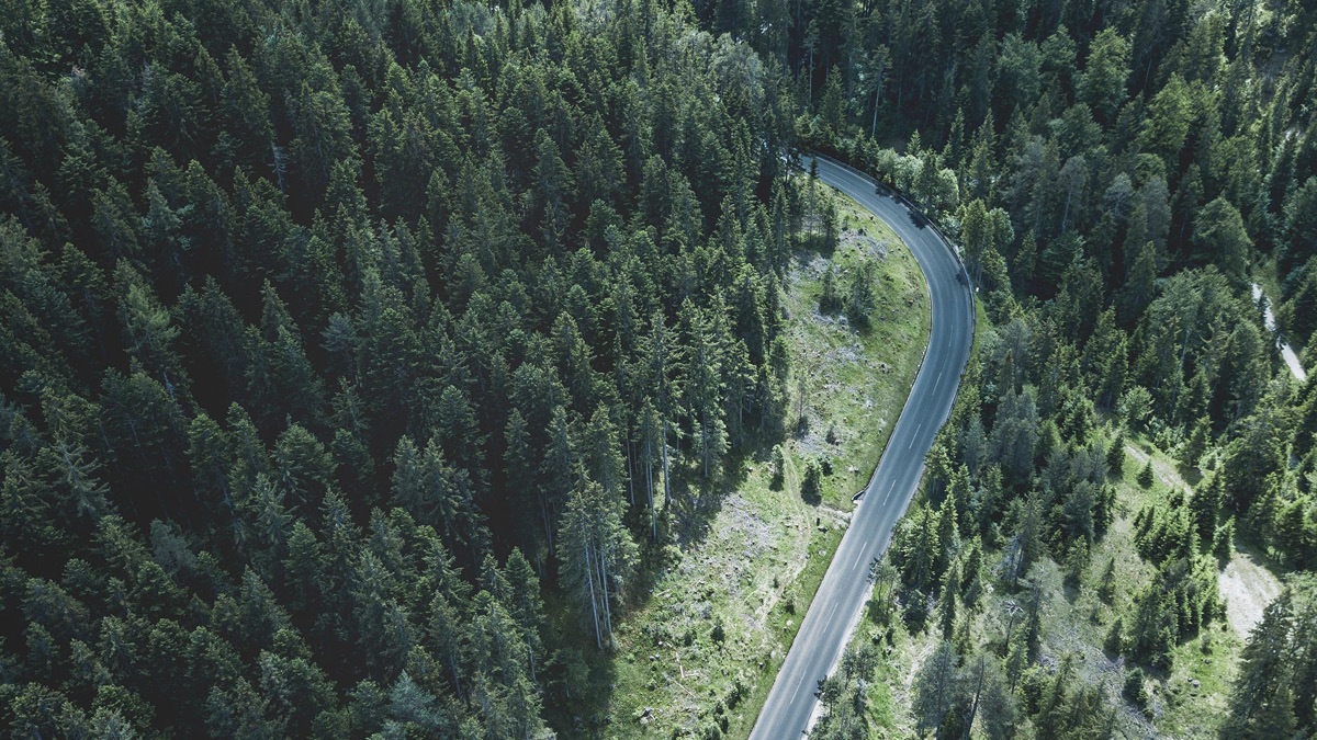 State and Local Tax Implications for AI Companies