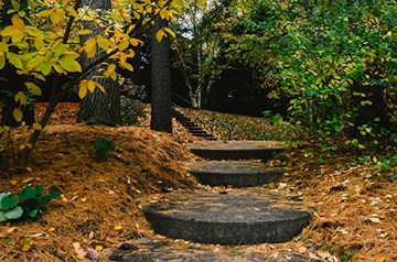 trail with stairs through autumn woods