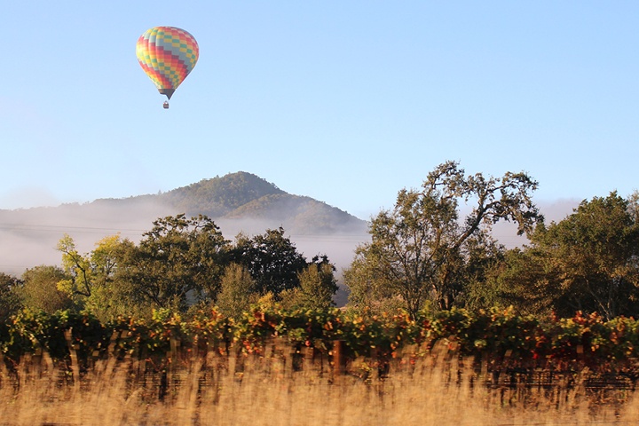 AVA Valuations for Vineyards