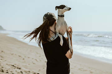 carrying dog on beach