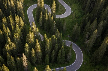 winding forest road