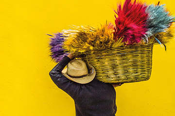 person carrying basket full of colorful foliage