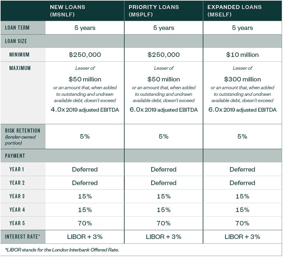 Main Street Nonprofit Organization Loans table
