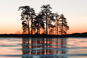 lakeside tree silhouettes