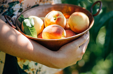 carrying copper pot of peaches