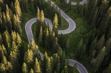 winding road through forest