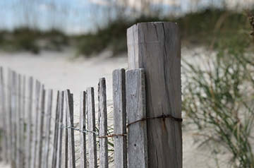 weathered beach fence