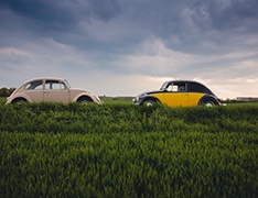Two volkswagen bugs in a field