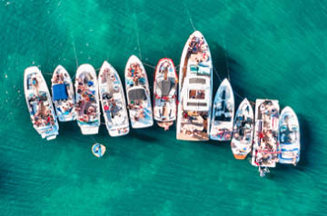 11 party barges wading together