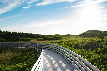 pedestrian bridge over meadow