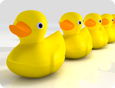 yellow rubber ducks in a row