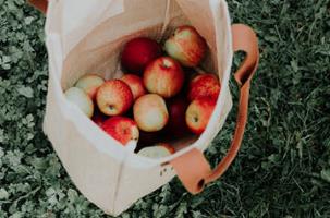 canvas bag of apples