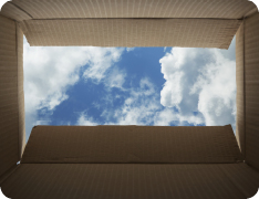 point of view photo from inside cardboard box looking out toward open blue skies