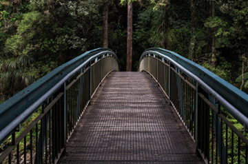 pedestrian bridge in forest