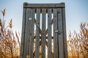 wooden gate in field