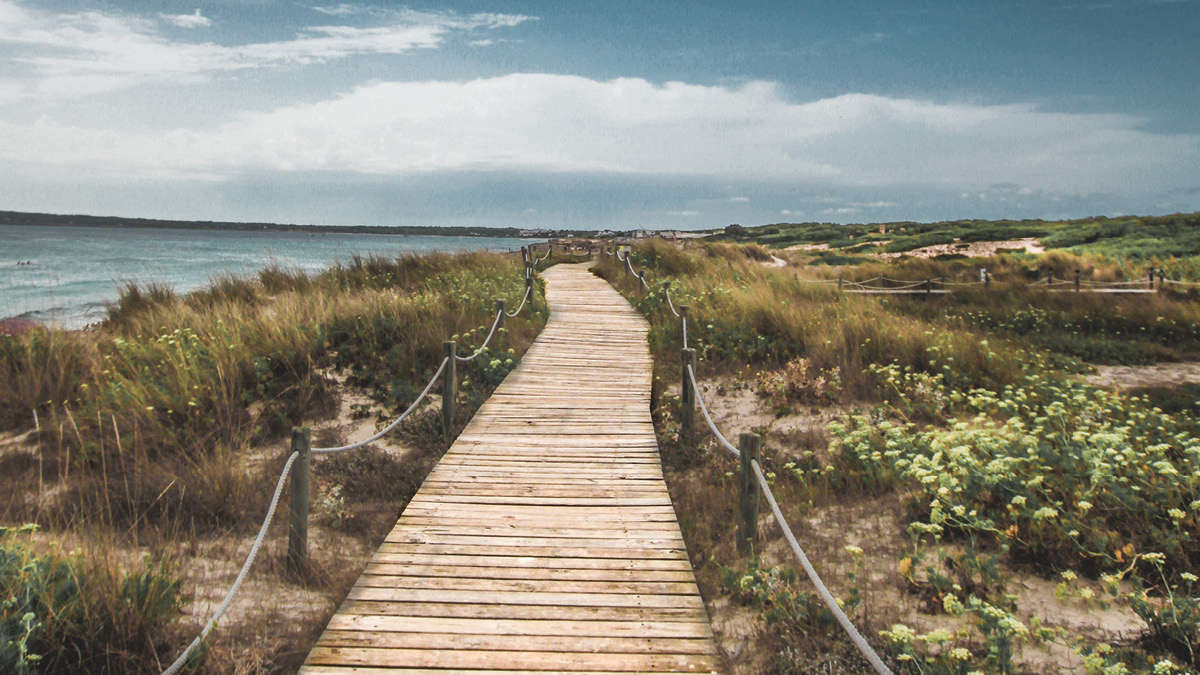 Assess Your Internal Controls with a SOC 1 Examination