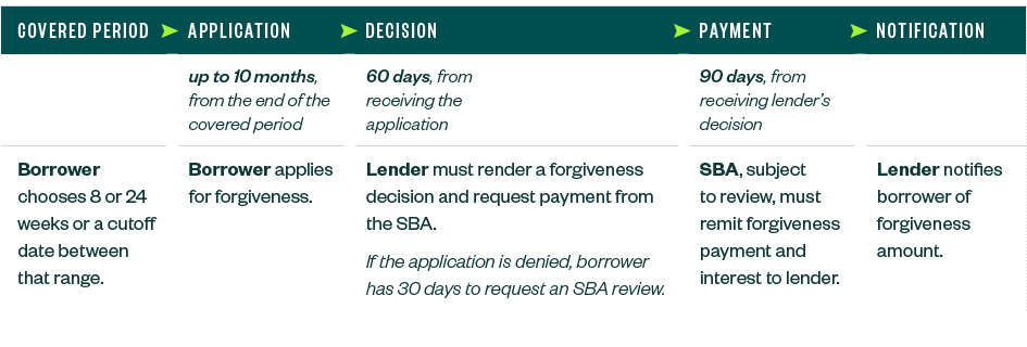 Timeline at a Glance graphic