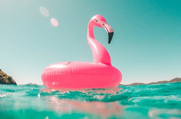 flamingo floatie