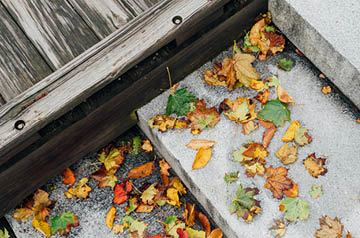 fall leaves on stairs