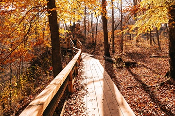 wooden foot bridge in autumn woods