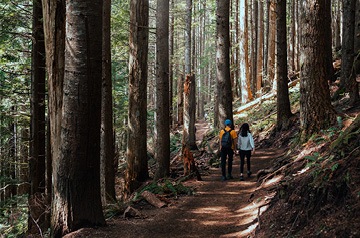 Two people walking down a path in the woods