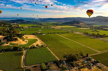 hot air balloons over field on sunny day