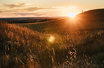grassy hills at sunset