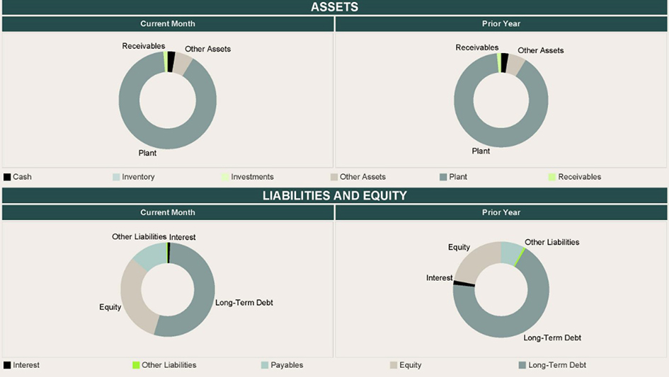 screenshot of balance sheet overview